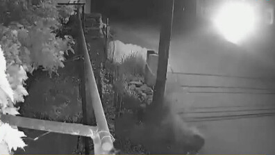 Непълнолетно момиче се заби с кола в ограда на къща в село до Луковит