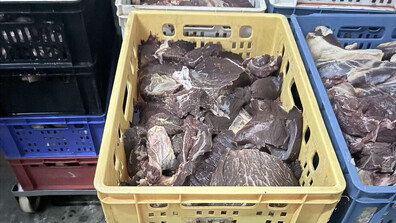 БАБХ спря близо 500 кг негодно свинско месо и животински продукти в Хасково