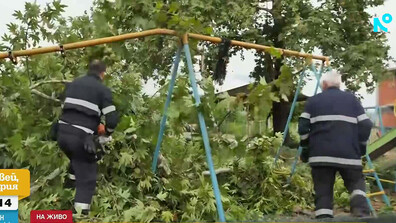 „За секунди стана като ураган“: Бурята повали дървета и блокира пътища край Петрич