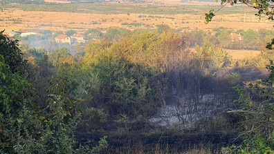 Потушен е пожар край тополвградското село Орешник, четири пожарни остават на място (СНИМКИ)