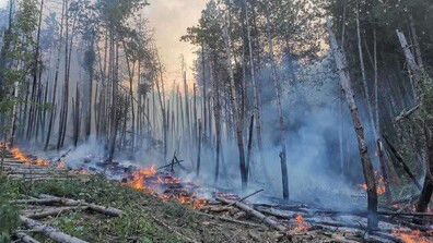 Пожари в Стара Загора, Рила и край София