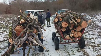 Драстичен скок на незаконния дърводобив в Монтанско с идването на есента
