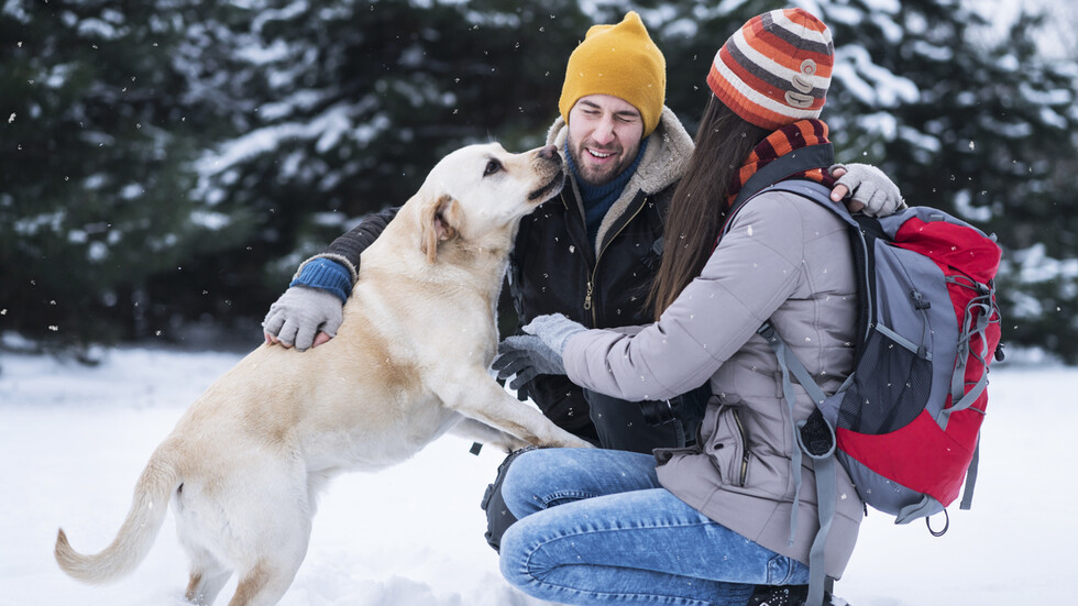 Снимка: iStock