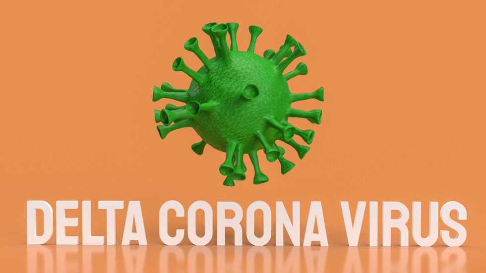 Снимка: iStock