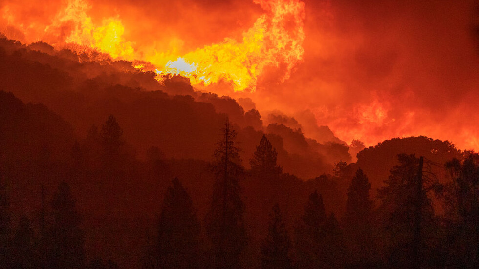 Снимка: gettyimages