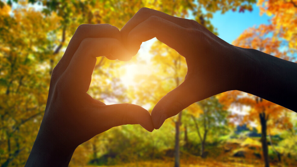 Снимка: iStock