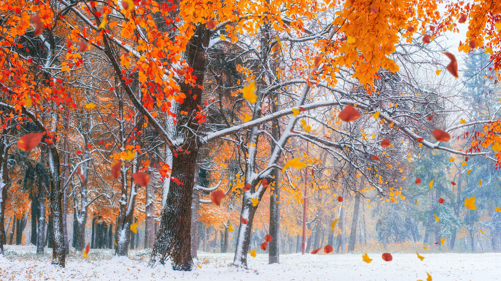 Snow falls in the mountains (PHOTO) – Society – Bulgaria – NOVA News