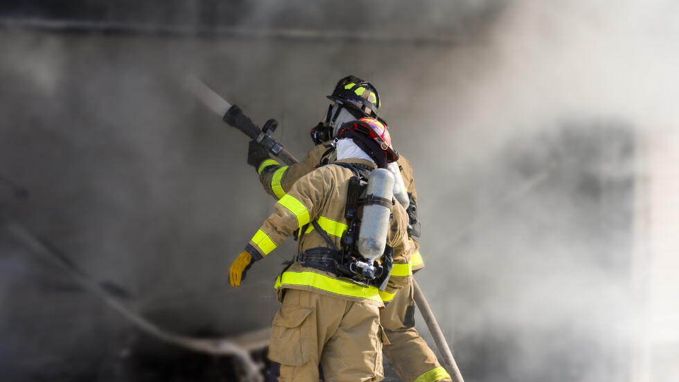 Снимка: istock