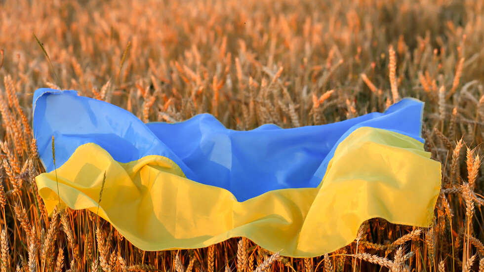 Експерт: Русия държи монопола по износ на зърно и се възползва от това - война е