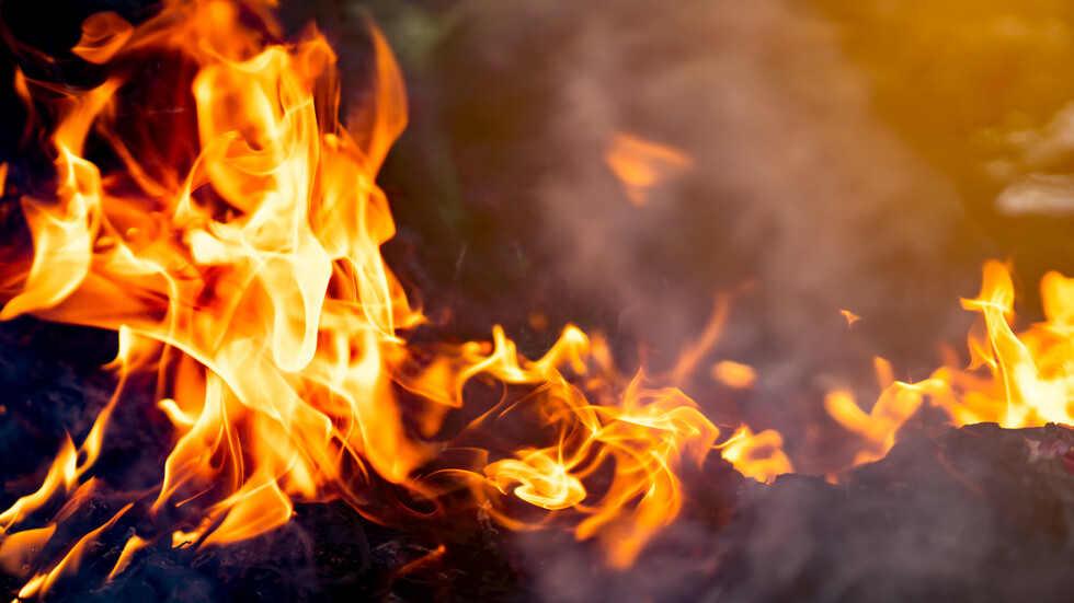 Снимка: iStock