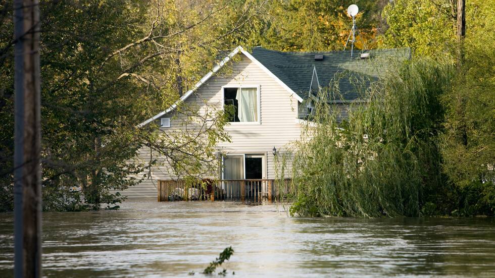Снимка: iStock