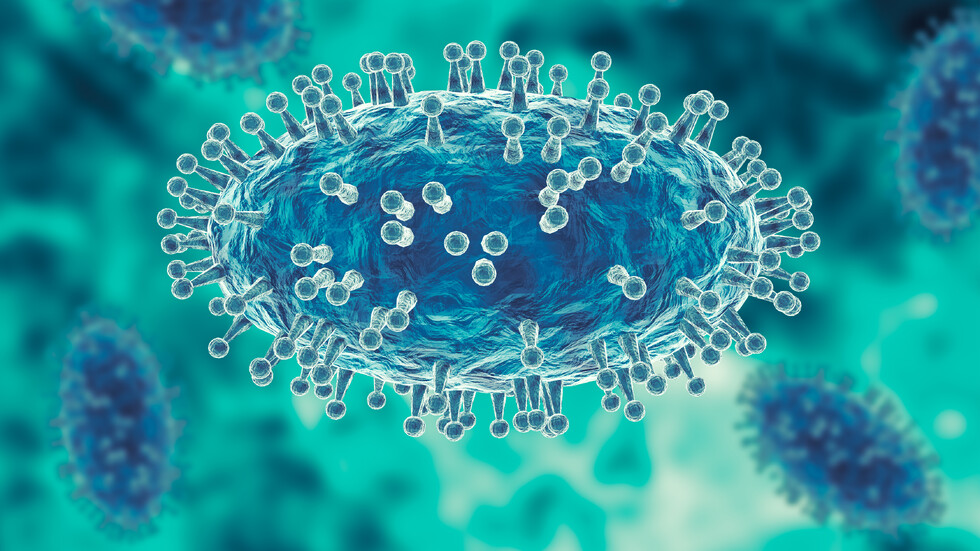 Снимка: istock