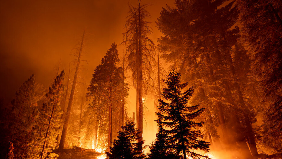 Снимка: gettyimages, архив