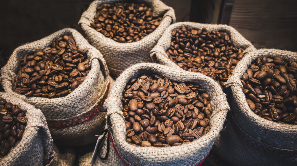 Снимка: iStock