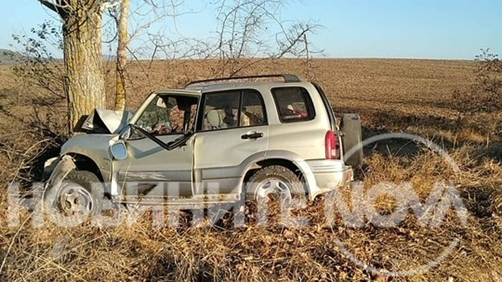 Снимка: Цеца Алексова, архив