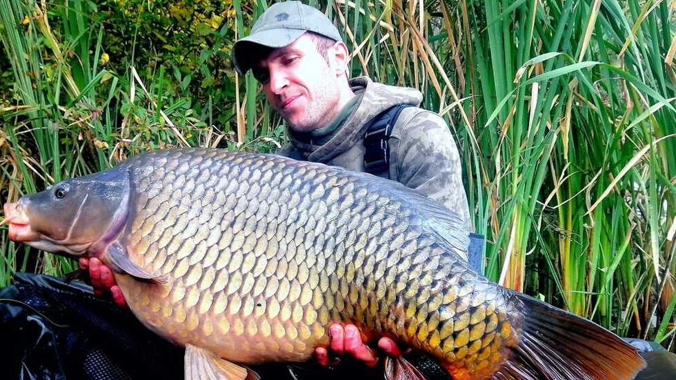 Кампания: Спаси шаран, изяж Николай! - Общество - България - Новините ...