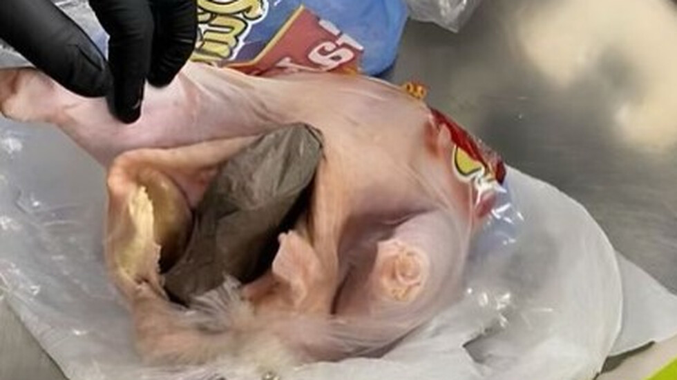 Снимка: TSA/ Instagram