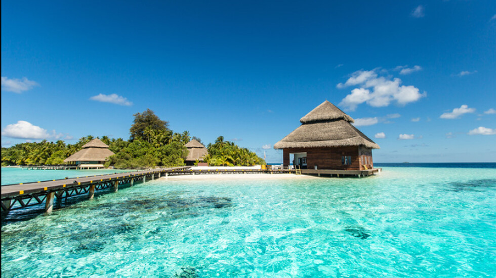 Снимка: istock