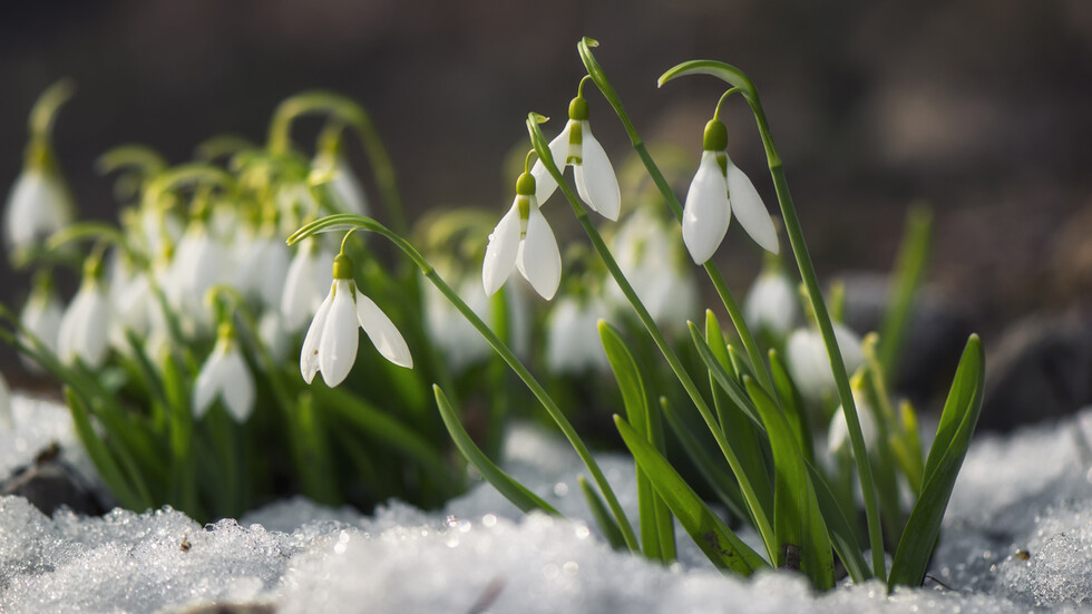 THE WEATHER: March snow around the middle of the month