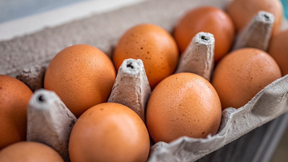 ΠΡΙΝ ΤΟ ΠΑΣΧΑ: Πώς άλλαξαν οι τιμές των αυγών στην Ελλάδα – Επιχειρήσεις – Βουλγαρία