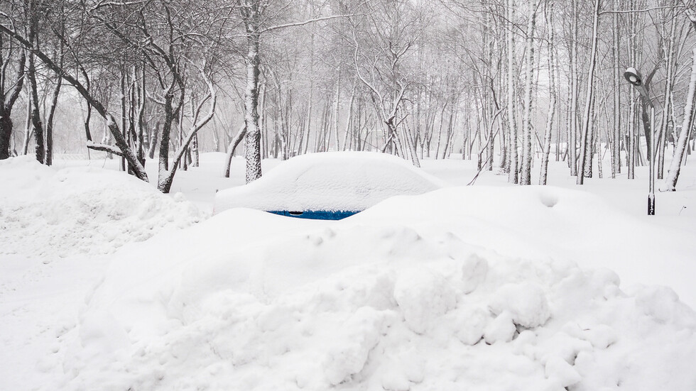 Снимка: iStock
