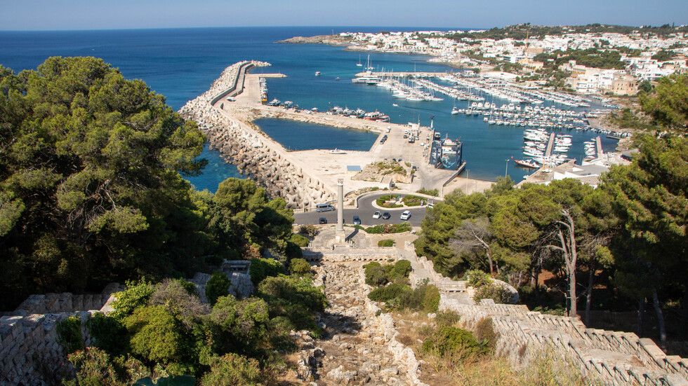 Снимка: iStock