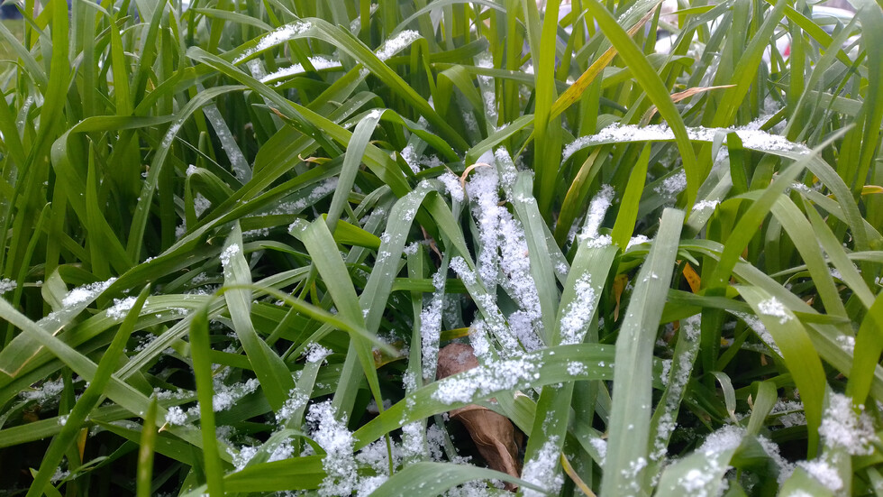 “Surprising May snowfall in Rhodope village of Lilkovo”