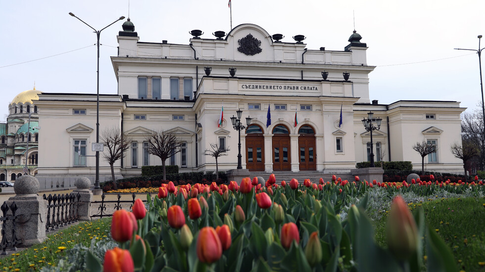 Нели Желева, Теодора Цанева, БТА