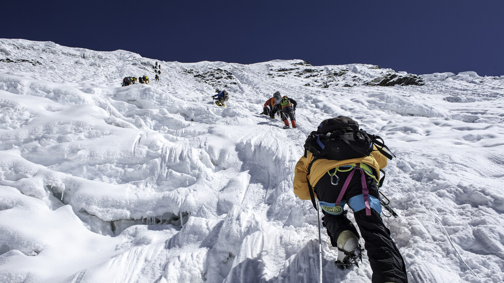 Снимка: iStock