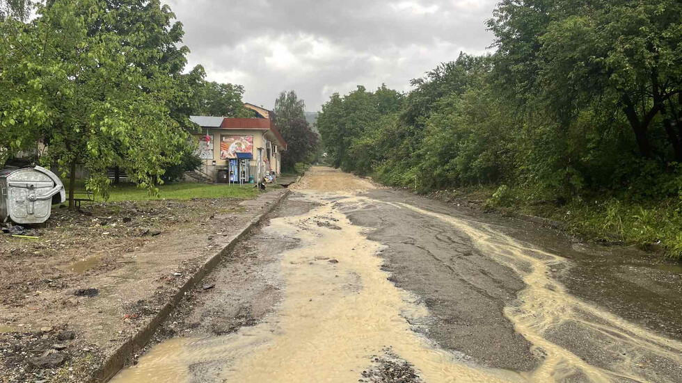 Снимка: БГНЕС