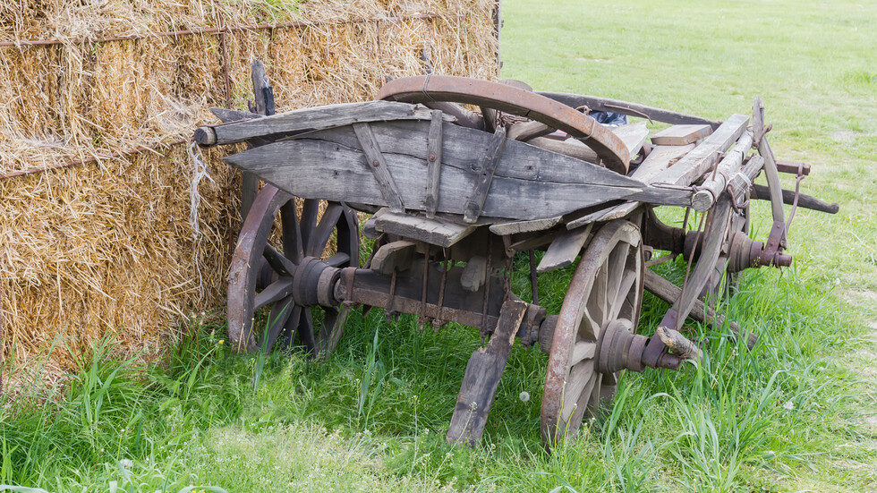 Снимка: iStock