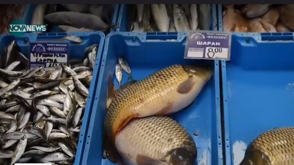 В навечерието на Никулден: За цената на рибата по борси и магазини