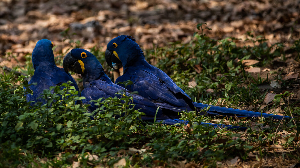 Снимка: getty images