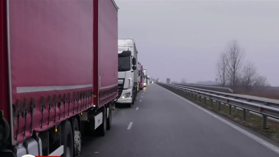Bloqués à la frontière : des pneus chargés de marchandises à destination de l'Autriche attendent plusieurs jours – RÉGIONS – BULGARIE – RÉVEILLEZ-VOUS
