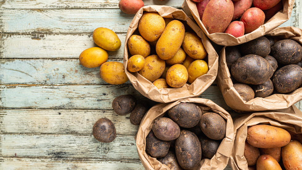 Снимка: iStock