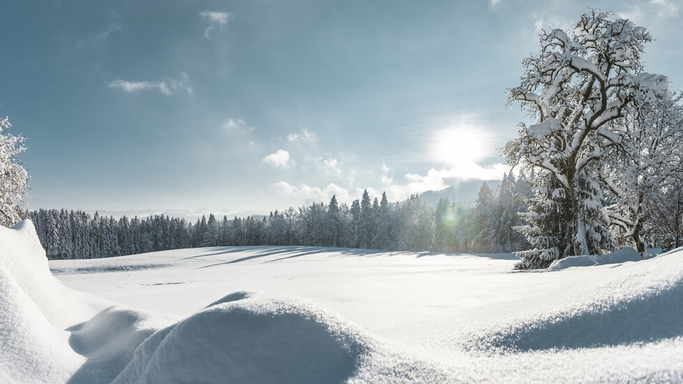 Снимка: iStock