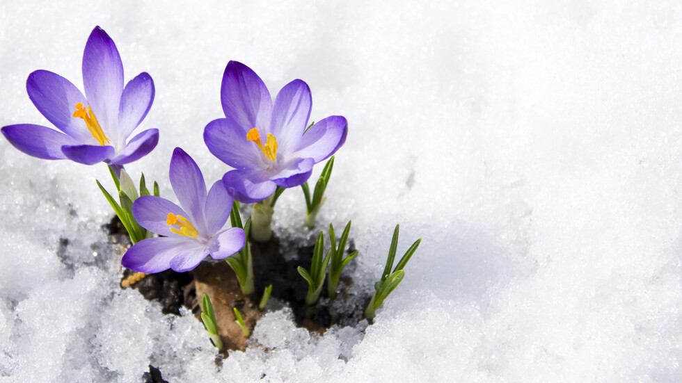 Météo: La neige tombera-t-elle au premier printemps – Météo – Bulgarie – Nova News