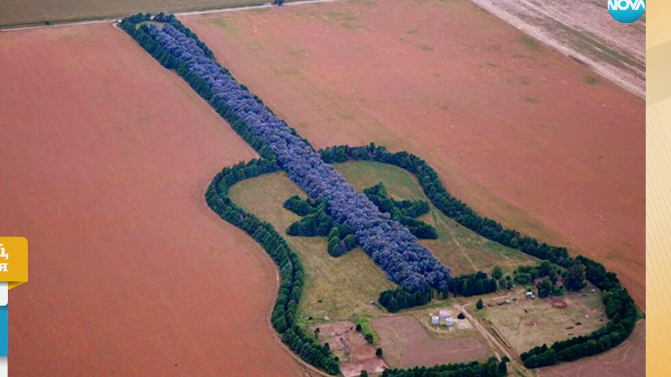 Гора с форма на китара: Фермер почете паметта на жена си (ВИДЕО)