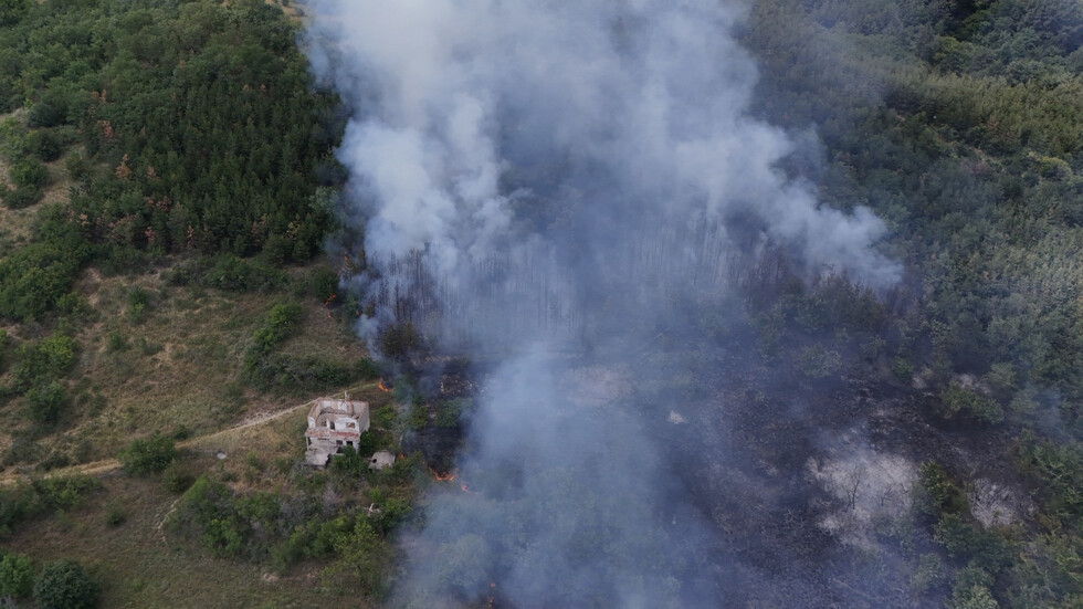 Deux incendies majeurs dans le sud de la Bulgarie (photos)