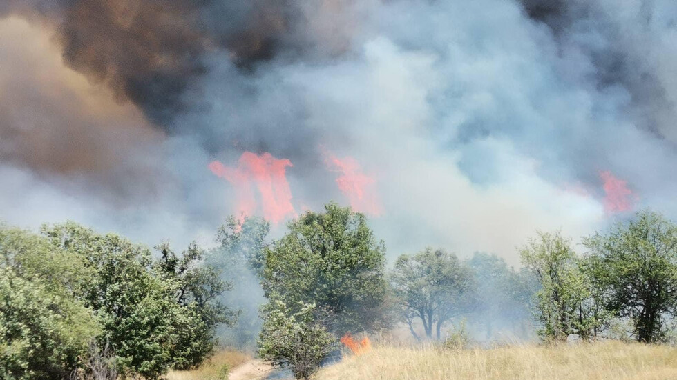 Deux nouveaux incendies éclatent à Plovdiv, brûlant 15 villas – Régions – Bulgarie – Nova News