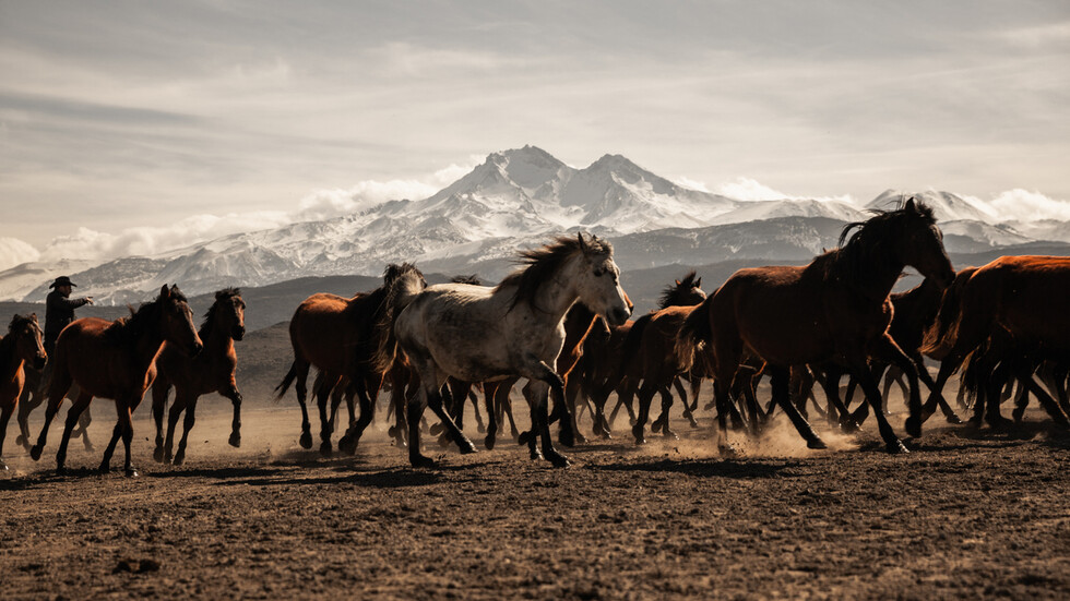 Снимка: iStock