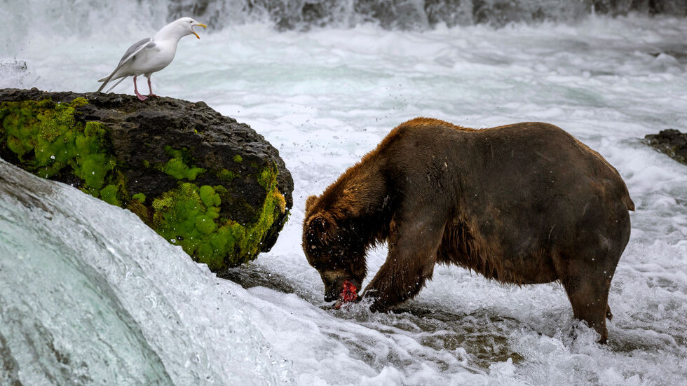 Снимка: gettyimages