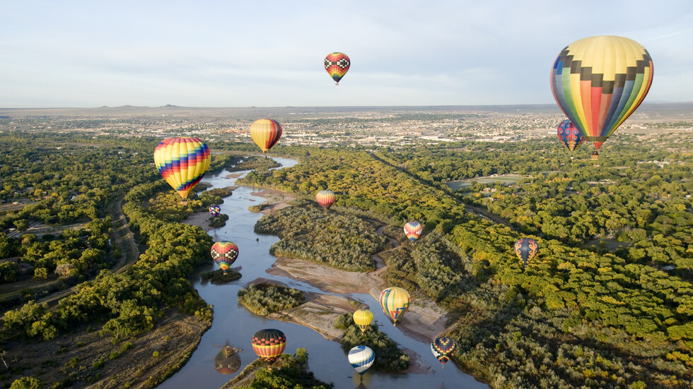 Снимка: iStock