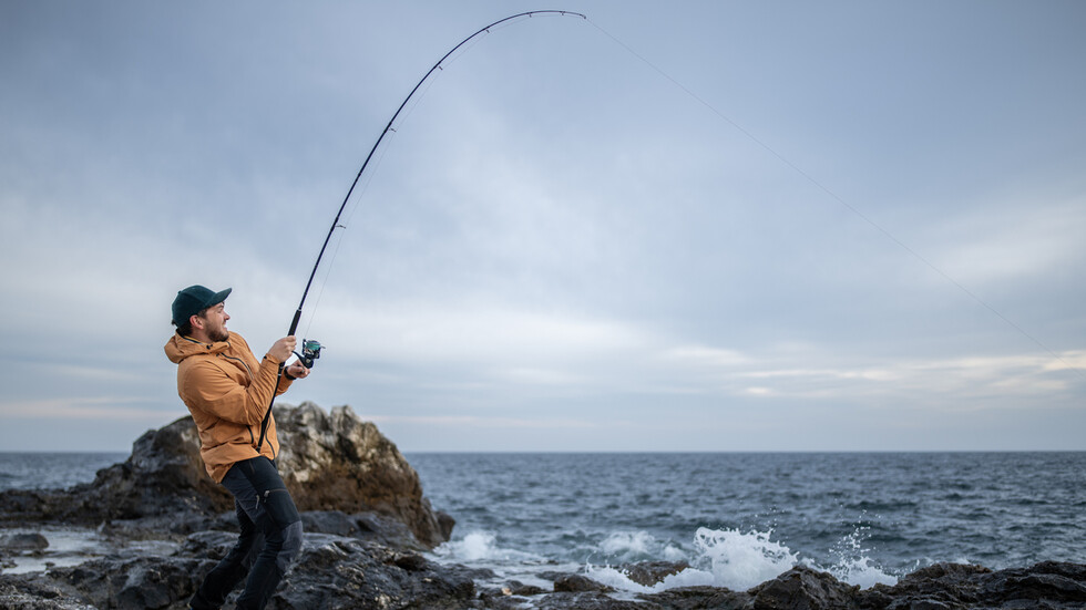 Снимка: iStock