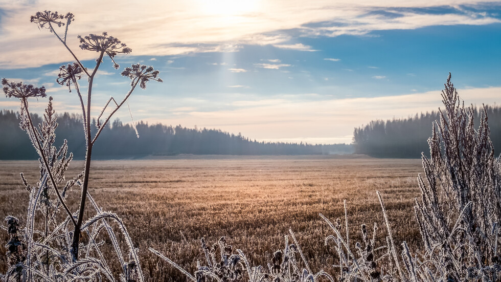 Снимка: iStock