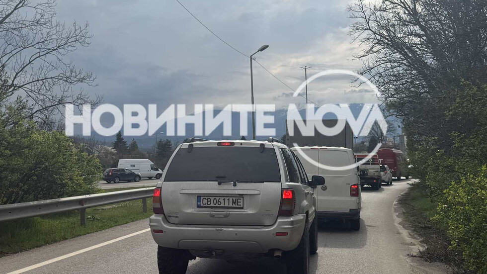 Car Tree Blocks Traffic on Constantinople Shose - News Directory 3
