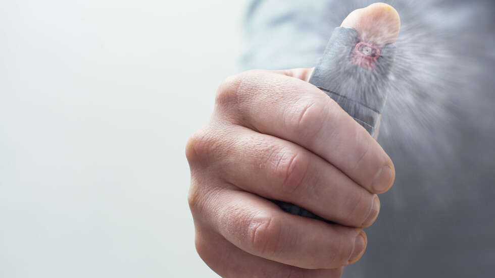 Снимка: iStock