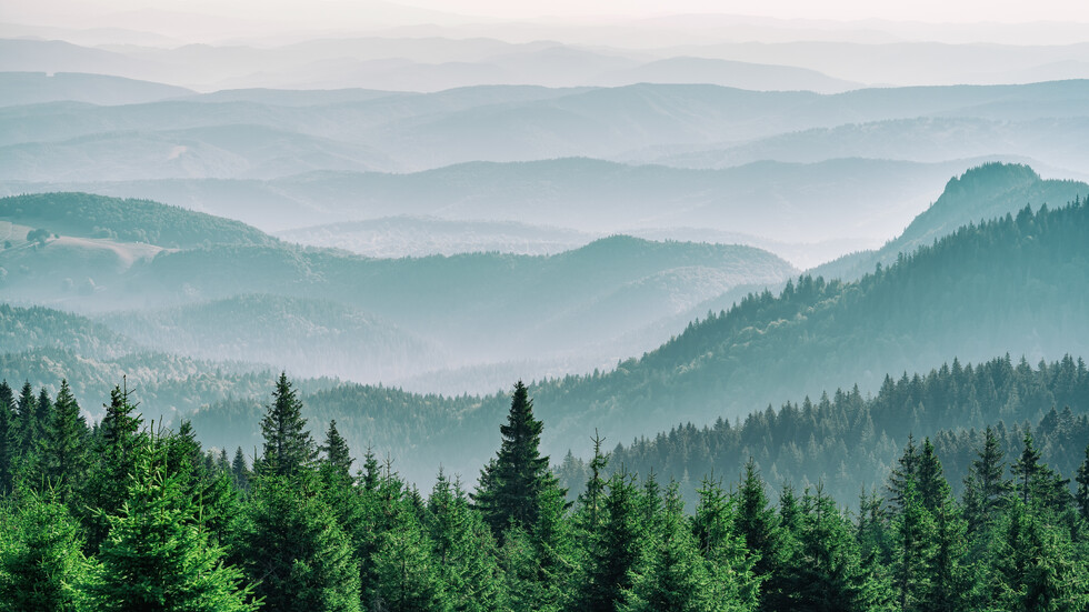 Снимка: iStock