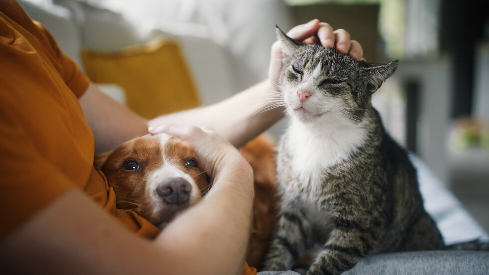 Снимка: iStock