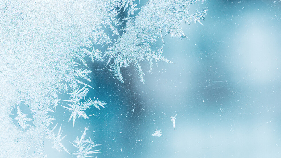 Снимка: iStock